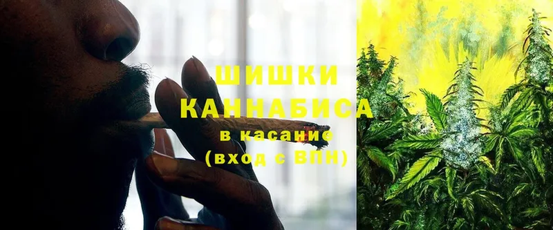 закладки  гидра ссылки  Бошки Шишки SATIVA & INDICA  Белая Калитва 